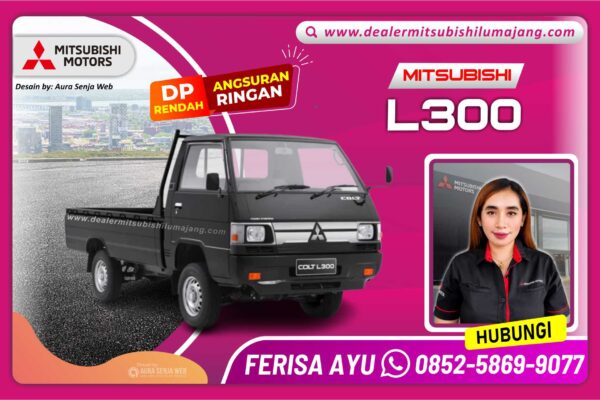 L300